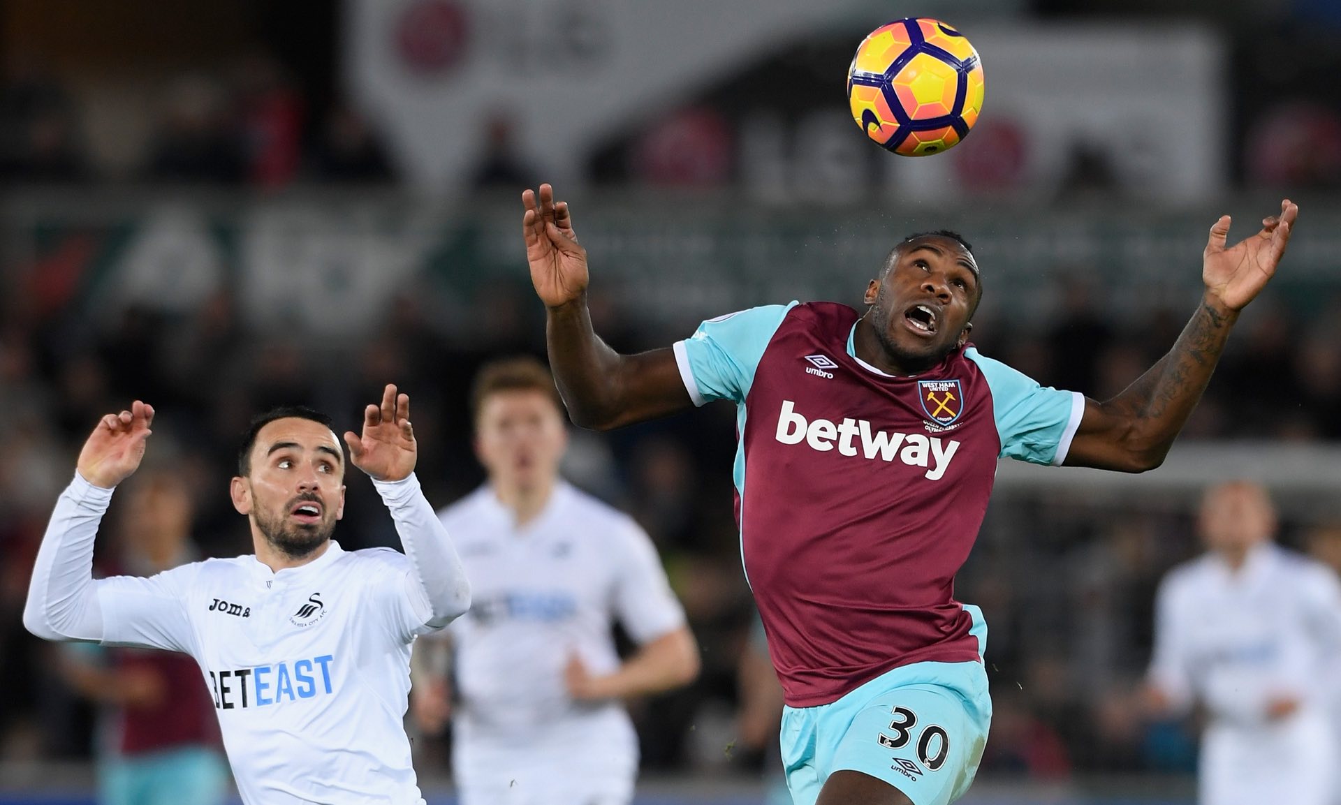 费德勒显然 费德勒显然